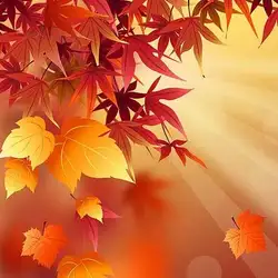 پاییزش چه قشنگه