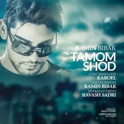 رامین بیباک تموم شد