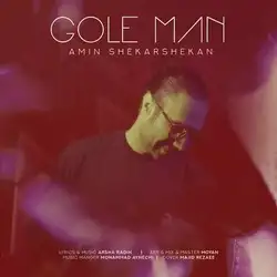 دانلود آهنگ امین شکرشکن گل من امین شکرشکن گل من