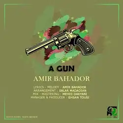 امیر بهادر اسلحه