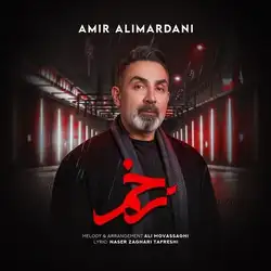 دانلود آهنگ امیر علیمردانی زخم امیر علیمردانی زخم