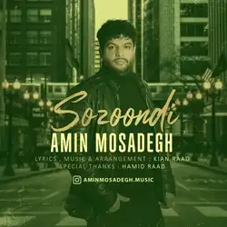 امین مصدق سوزوندی