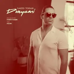 دانلود آهنگ سعید ترابی دنیامی سعید ترابی دنیامی