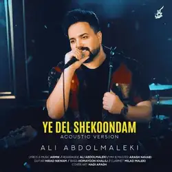 دانلود آهنگ علی عبدالمالکی یه دل شکوندم علی عبدالمالکی یه دل شکوندم