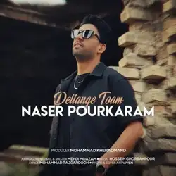 دانلود آهنگ ناصر پورکرم دلتنگ توام ناصر پورکرم دلتنگ توام