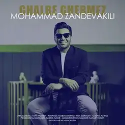 دانلود آهنگ محمد زند وکیلی قلب قرمز محمد زند وکیلی قلب قرمز