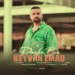 دانلود آهنگ کیوان عماد پاشو بیا کیوان عماد پاشو بیا
