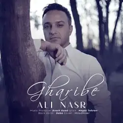 علی نصر غریبه