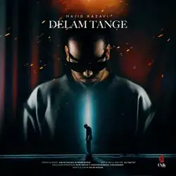 دانلود آهنگ مجید رضوی دلم تنگه مجید رضوی دلم تنگه