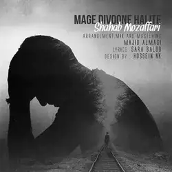 شهاب مظفری مگه دیوونه حالیته