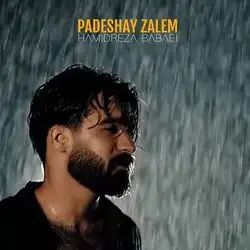 دانلود آهنگ حمیدرضا بابایی پادشای ظالم حمیدرضا بابایی پادشای ظالم