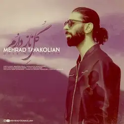 دانلود آهنگ مهراد توکلیان گل ناز دارم مهراد توکلیان گل ناز دارم