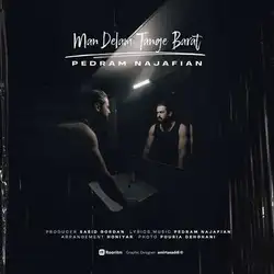 دانلود آهنگ پدرام نجفیان من دلم تنگه برات پدرام نجفیان من دلم تنگه برات