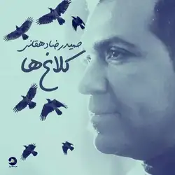 حمیدرضا دهقانی کلاغ ها