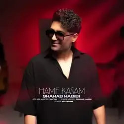 دانلود آهنگ شهاب حبیبی همه کسم شهاب حبیبی همه کسم