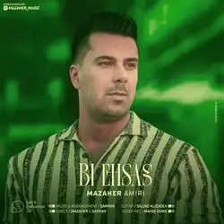 مظاهر امیری بی احساس