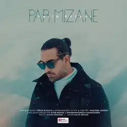 دانلود آهنگ مجید رضوی پر میزنه مجید رضوی پر میزنه