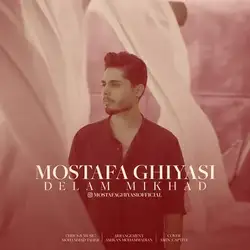 دانلود آهنگ مصطفی غیاثی دلم میخواد مصطفی غیاثی دلم میخواد