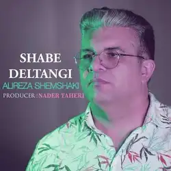 علیرضا شمشکی شب دلتنگی