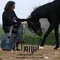 img-music