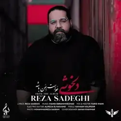 رضا صادقی دلخوشی