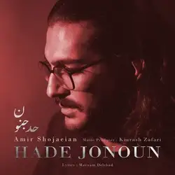 امیر شجاعیان حد جنون