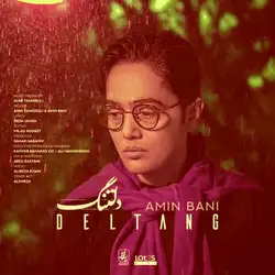 دانلود آهنگ امین بانی دلتنگ امین بانی دلتنگ