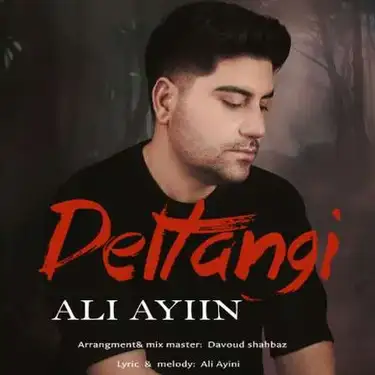 دانلود آهنگ علی آئین دلتنگی علی آئین دلتنگی