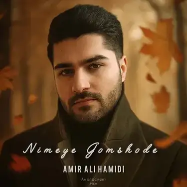 امیر علی حمیدی نیمه ی گمشده