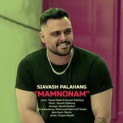 دانلود آهنگ سیاوش پالاهنگ ممنونم سیاوش پالاهنگ ممنونم