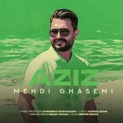 دانلود آهنگ مهدی قاسمی عزیز مهدی قاسمی عزیز