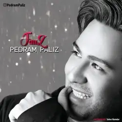 دانلود آهنگ پدرام پالیز فاز پدرام پالیز فاز
