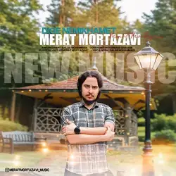 مرآت مرتضوی دیگه نمیخوامت