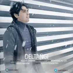 یوسف زمانی دلتنگی