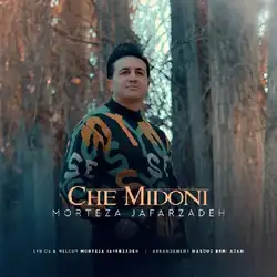 دانلود آهنگ مرتضی جعفرزاده چه میدونی مرتضی جعفرزاده چه میدونی