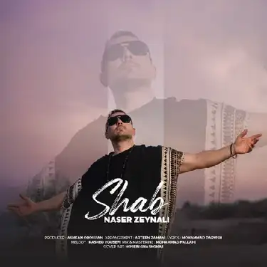 دانلود آهنگ ناصر زینعلی شب ناصر زینعلی شب