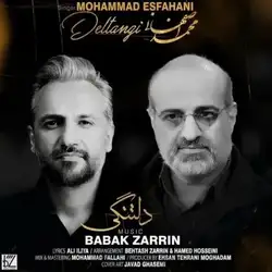 دانلود آهنگ محمد اصفهانی دلتنگی محمد اصفهانی دلتنگی