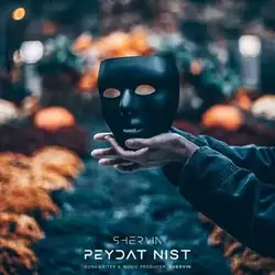 دانلود آهنگ شروین حاجی پور پیدات نیست شروین حاجی پور پیدات نیست