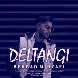 دانلود آهنگ بهراد میرزایی دلتنگی بهراد میرزایی دلتنگی