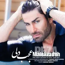 دانلود آهنگ رضا ملک زاده عجب دلی رضا ملک زاده عجب دلی