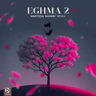 دانلود آهنگ مرتضی شکری اغما 2 مرتضی شکری اغما 2