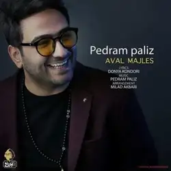 دانلود آهنگ پدرام پالیز اول مجلس پدرام پالیز اول مجلس