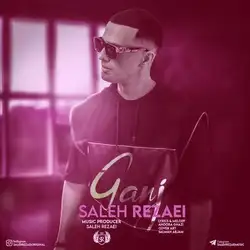 دانلود آهنگ صالح رضایی گنج صالح رضایی گنج