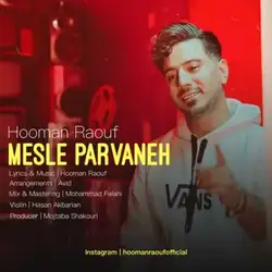 هومن رئوف مثل پروانه