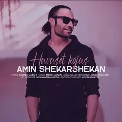 دانلود آهنگ امین شکرشکن حواست کجاس امین شکرشکن حواست کجاس