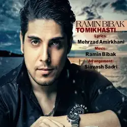 دانلود آهنگ رامین بیباک تو میخواستی رامین بیباک تو میخواستی