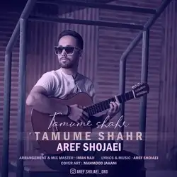 دانلود آهنگ عارف شجاعی تموم شهر عارف شجاعی تموم شهر